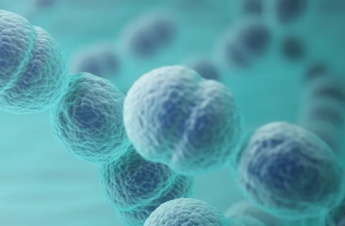Prikaz bakterije Streptococcus pyogenes