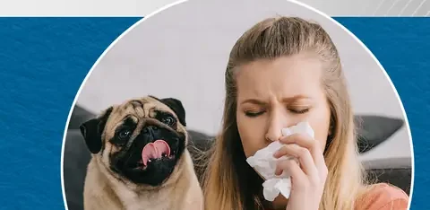 Žena i pas, alergija na dlaku